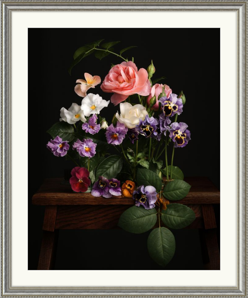 A Garden Diary, March 19th