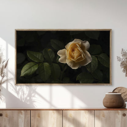 Yellow Rose - Frame TV
