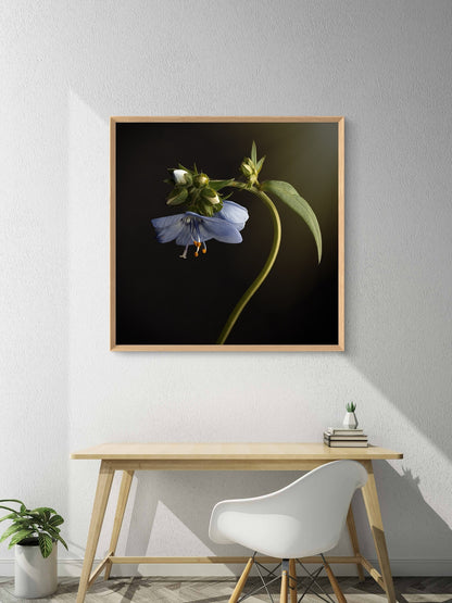 Blue Flower Nodding Flower