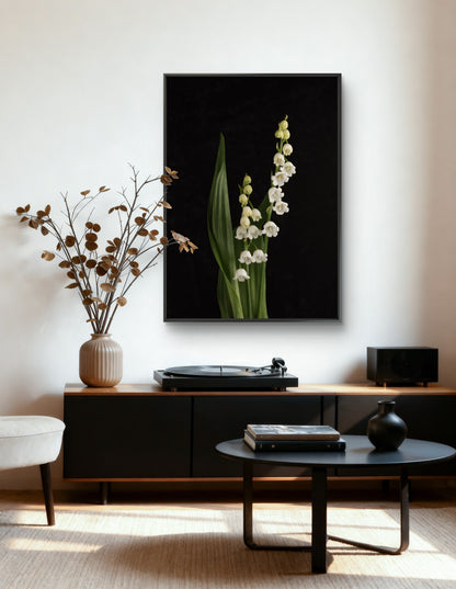 Lily of the Valley - Download
