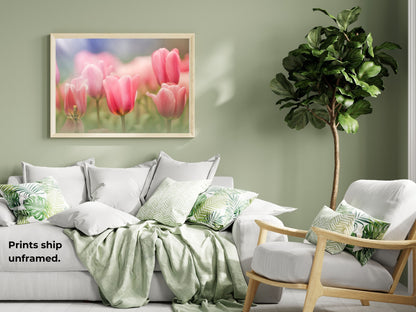 Blooming Pink Tulips in a Soft Dreamy Garden Setting