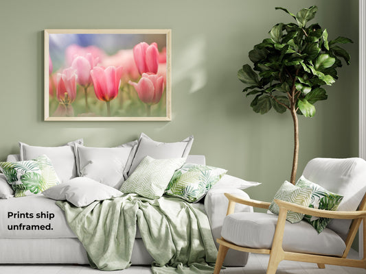 Blooming Pink Tulips in a Soft Dreamy Garden Setting