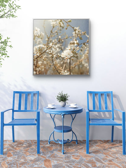Spring White Cherry Blossoms