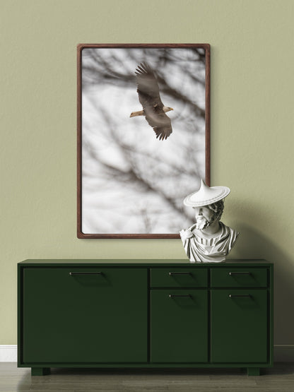 Eagle Flying Through Winter Trees