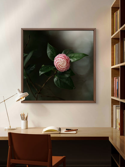 Camellia Pink & White Print