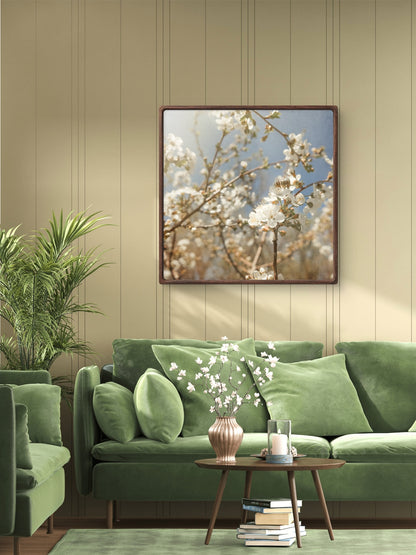 Spring White Cherry Blossoms