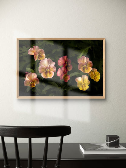 Colorful Pansies