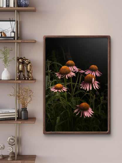Elegant Pink Coneflowers in a Naturalistic Garden Setting 'The Wayward Petal'