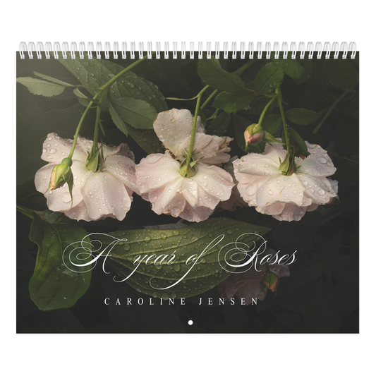 A_Year_of_Roses_Auto-Date_Calendar_by_Ca_Main_Cover_-_Large_Mockup.png