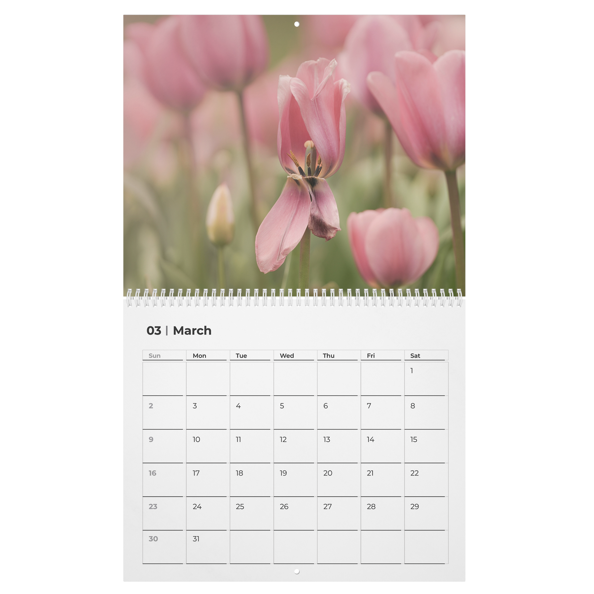 Auto-Date_Floral_Beauty_Calendar_by_Caro_Main_Open_-_Large_Mockup.png