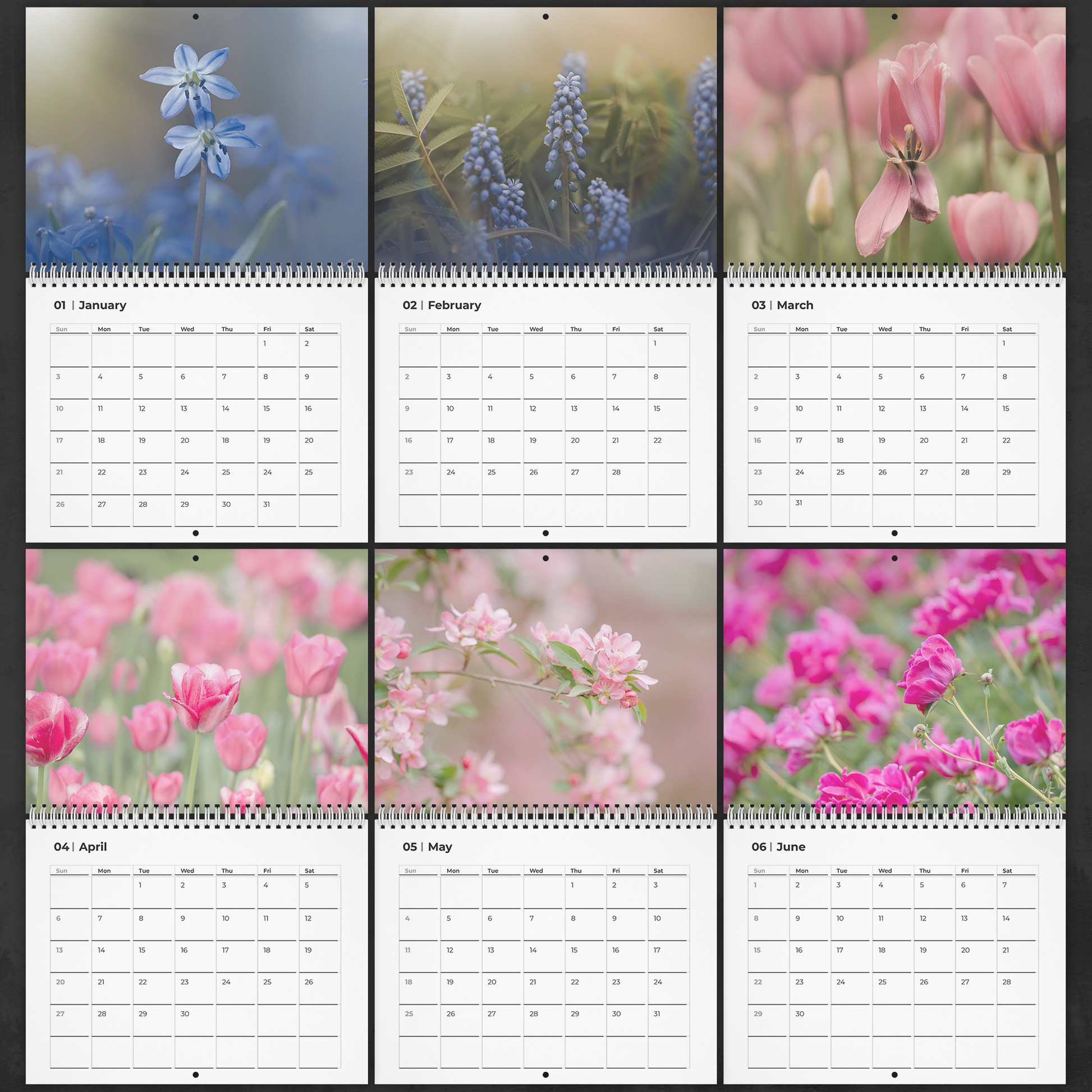 Auto-Date_Floral_Beauty_Calendar_by_Caro_Pages_1-6_-_Small_Mockup.png