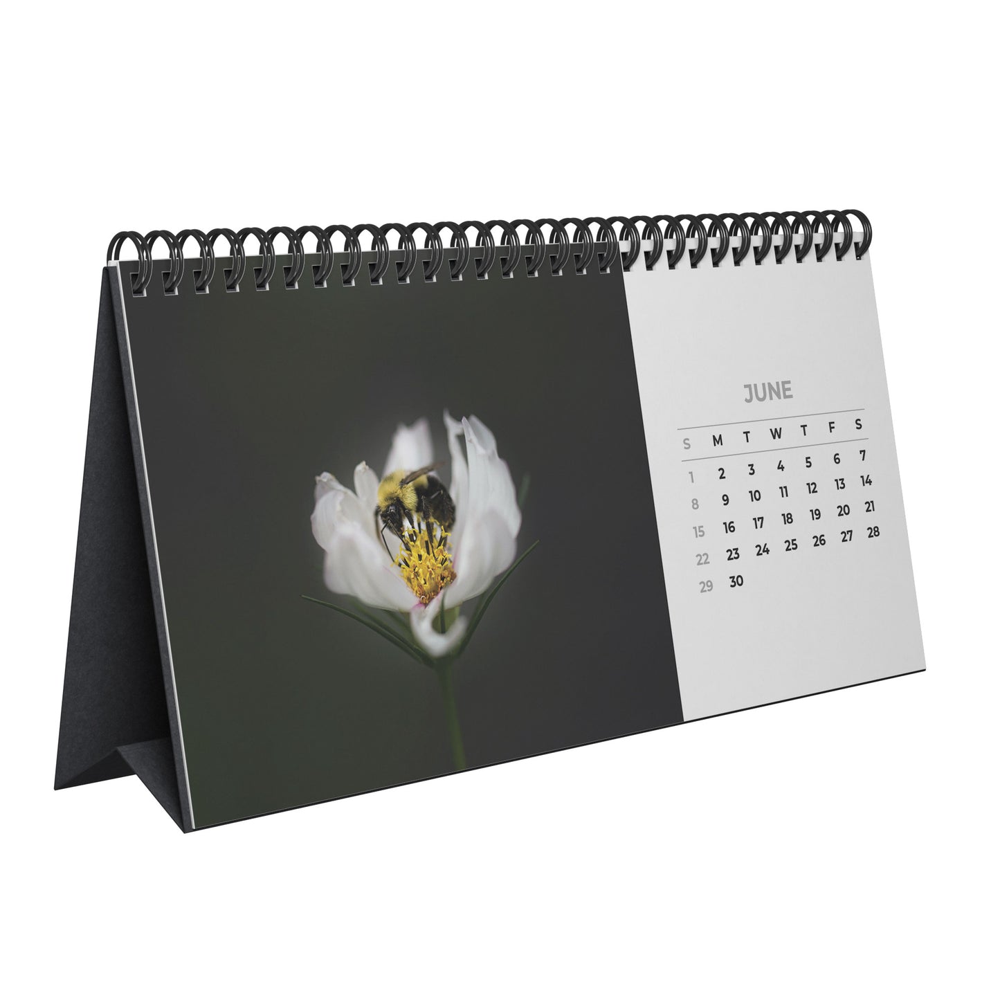 Automated Desktop Calendar Featuring Fine Art Garden Flowers, Flower Lover Gift