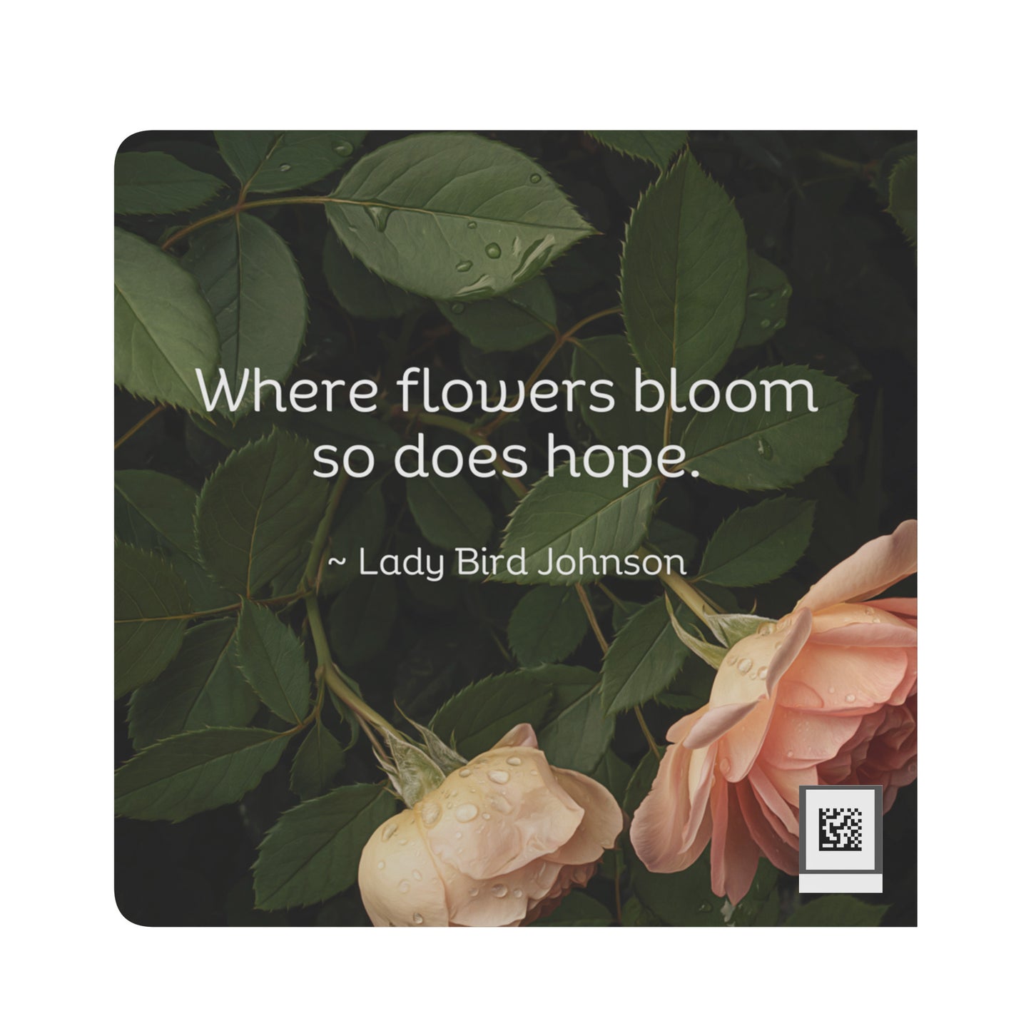 First Flower Book by Caroline Jensen