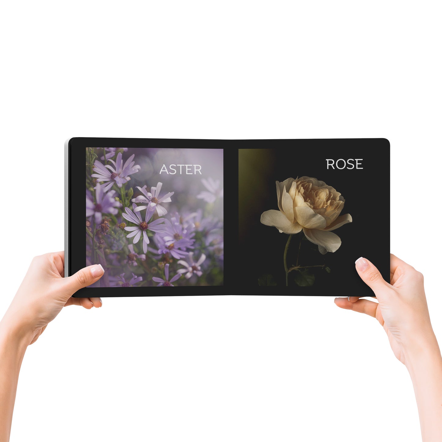 First Flower Book by Caroline Jensen