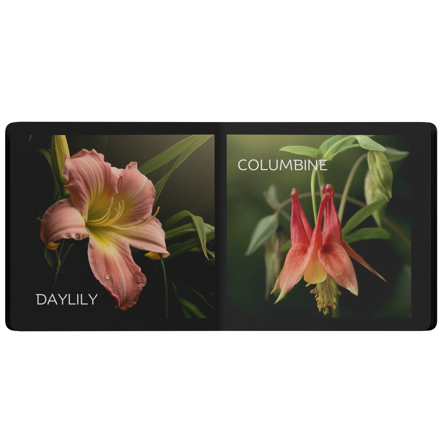 First Flower Book by Caroline Jensen