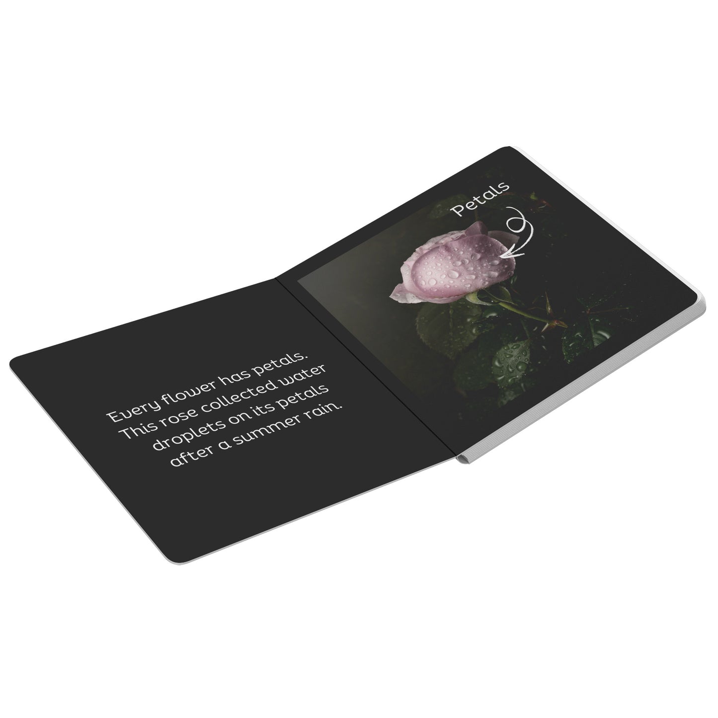 First Flower Book by Caroline Jensen