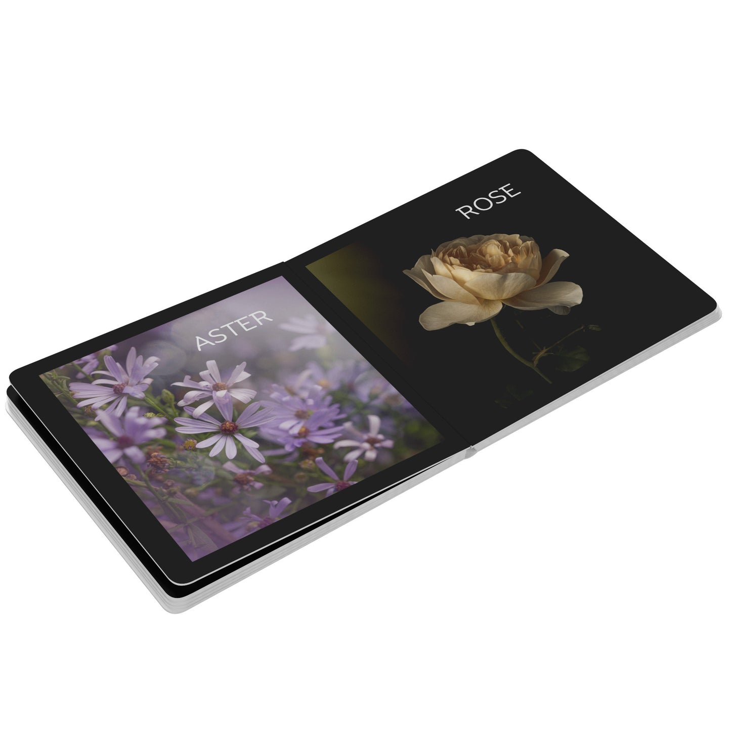 First Flower Book by Caroline Jensen