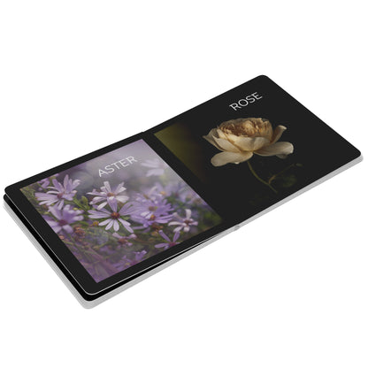 First Flower Book by Caroline Jensen