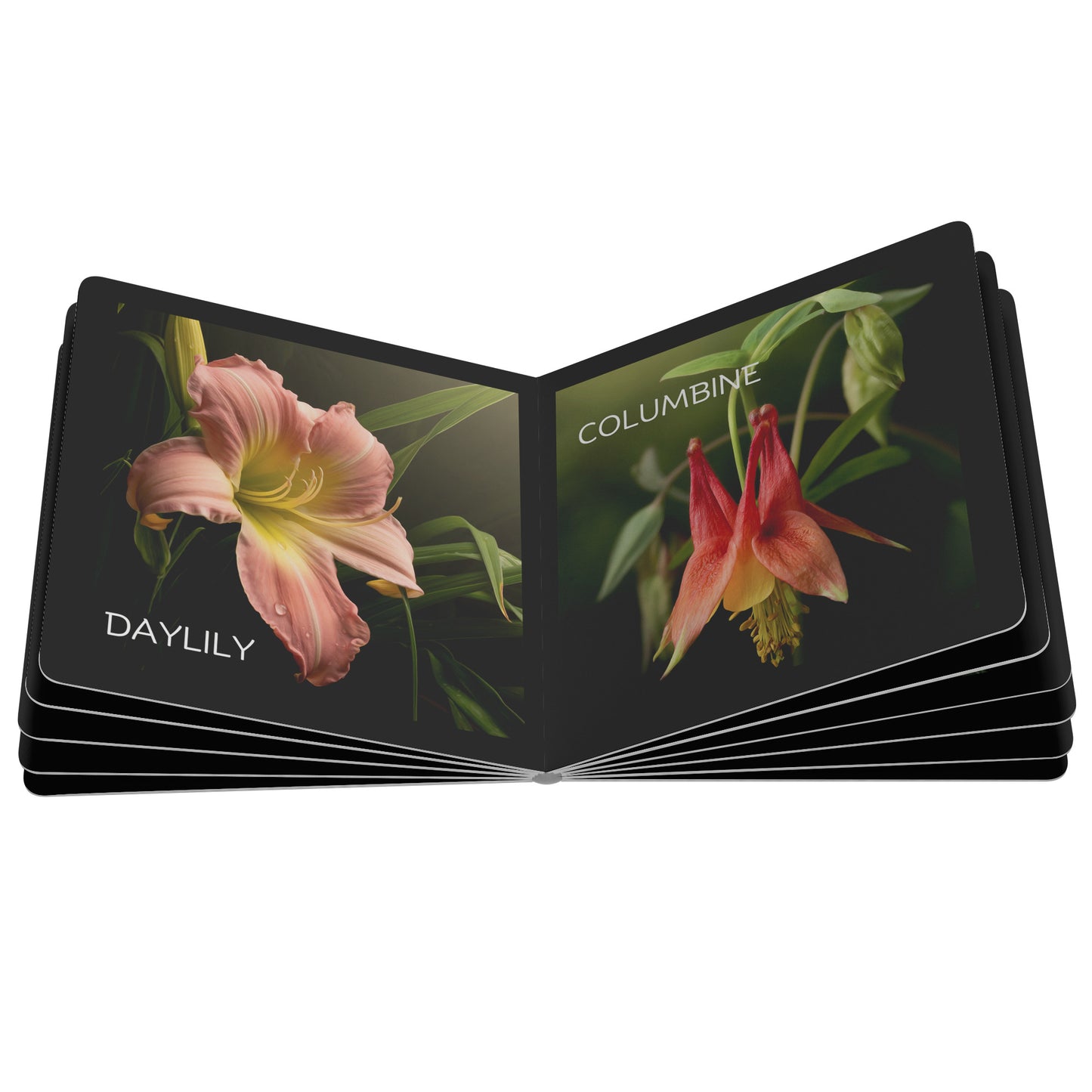 First Flower Book by Caroline Jensen