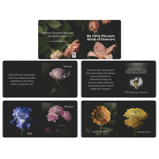 First Flower Book by Caroline Jensen