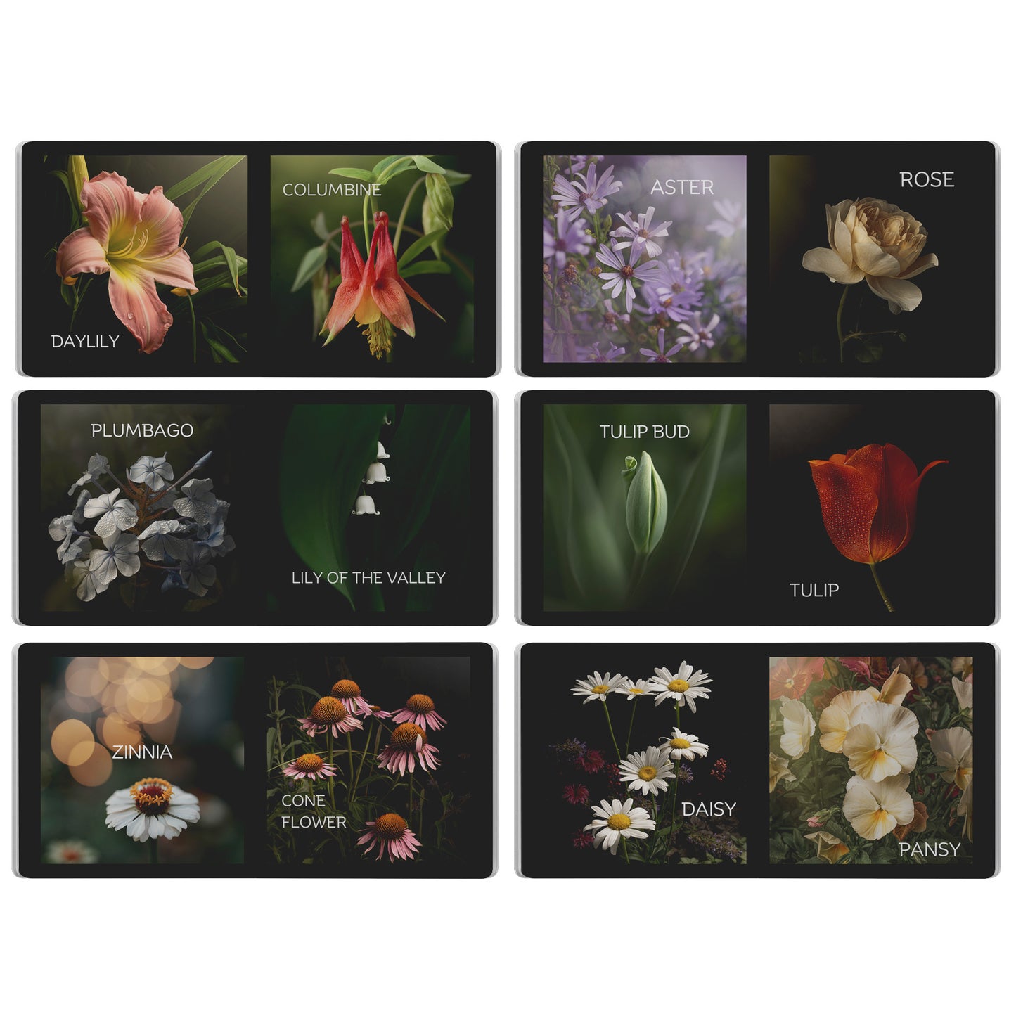 First Flower Book by Caroline Jensen