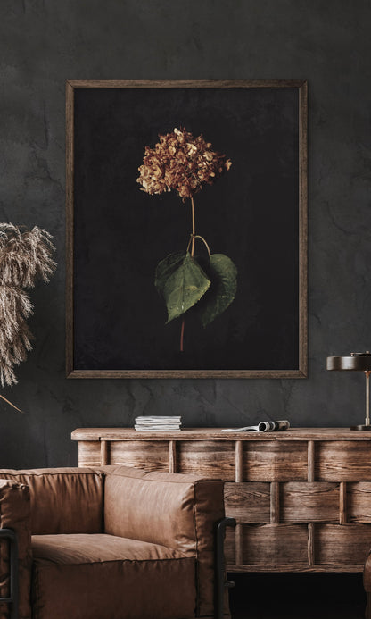 Caught Between Seasons - Download