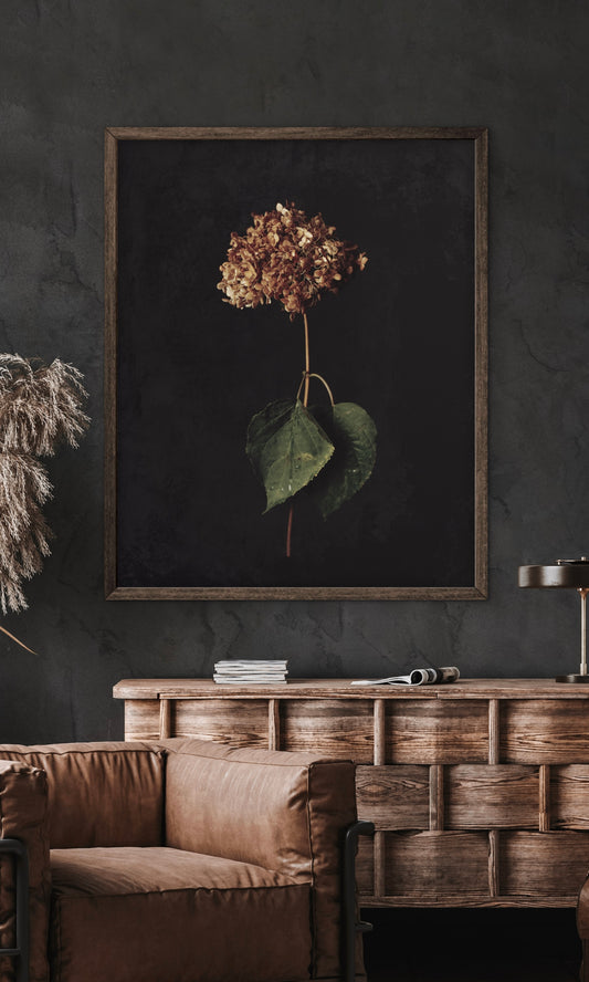 Caught Between Seasons - Download