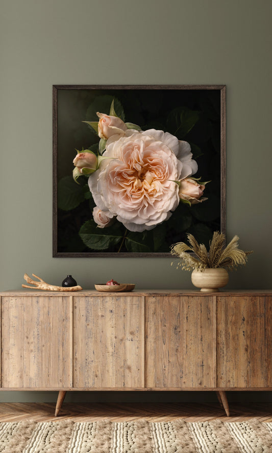 Blush Ivory Rose with Four Buds - Download