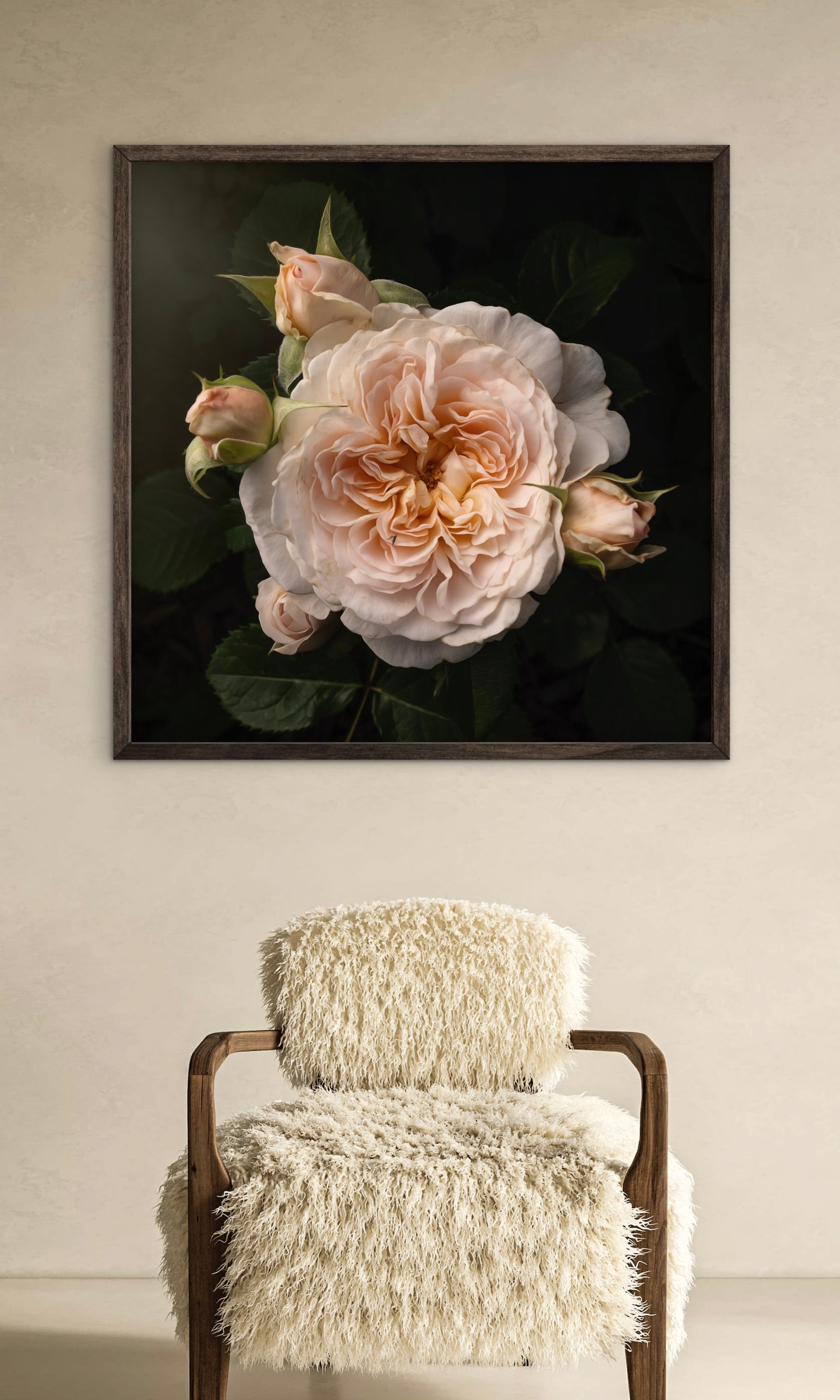 Blush Ivory Rose with Four Buds - Download