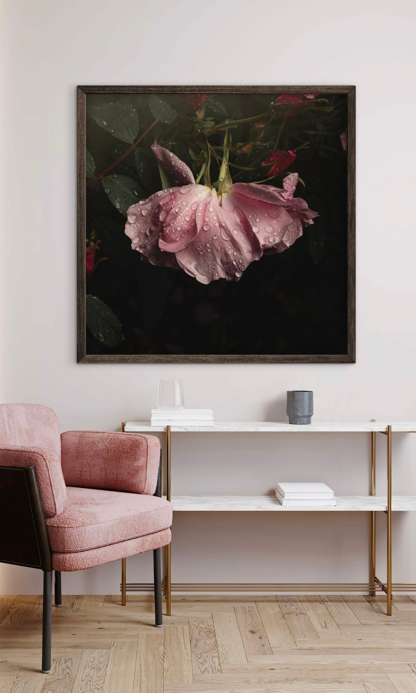 Wilting Pink Rose After the Rain - Download