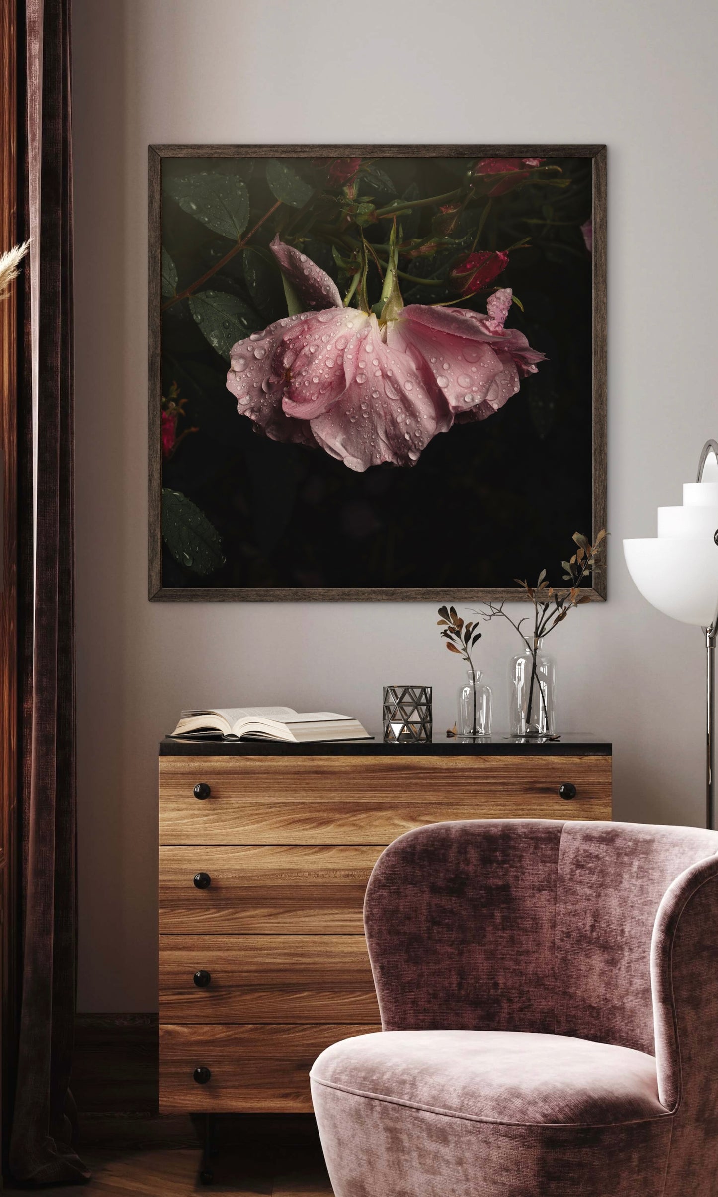 Wilting Pink Rose After the Rain - Download