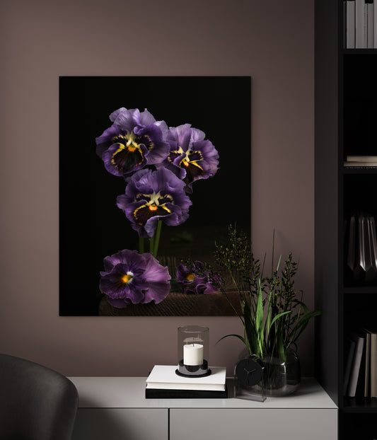 Frilly Purple Pansies - Download