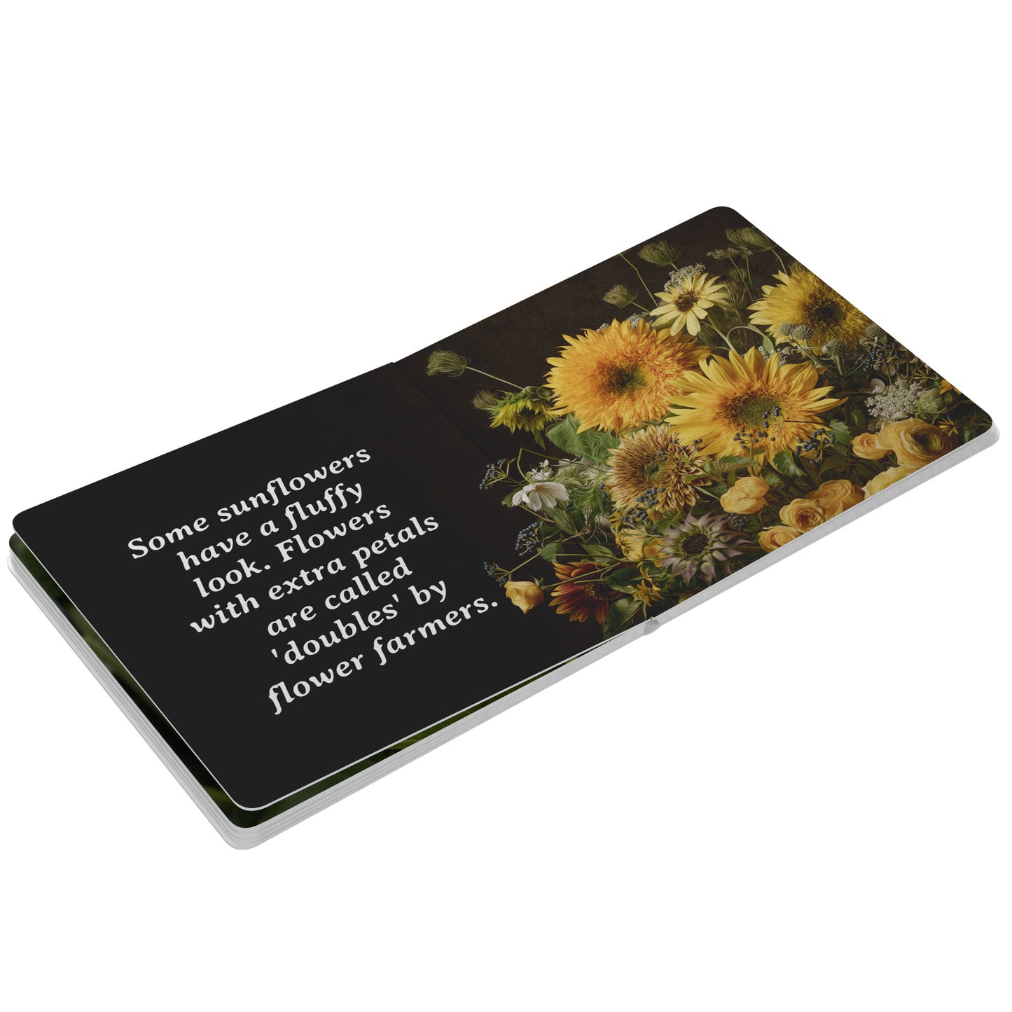 My First Book of Sunflowers, Board Book by Caroline Jensen