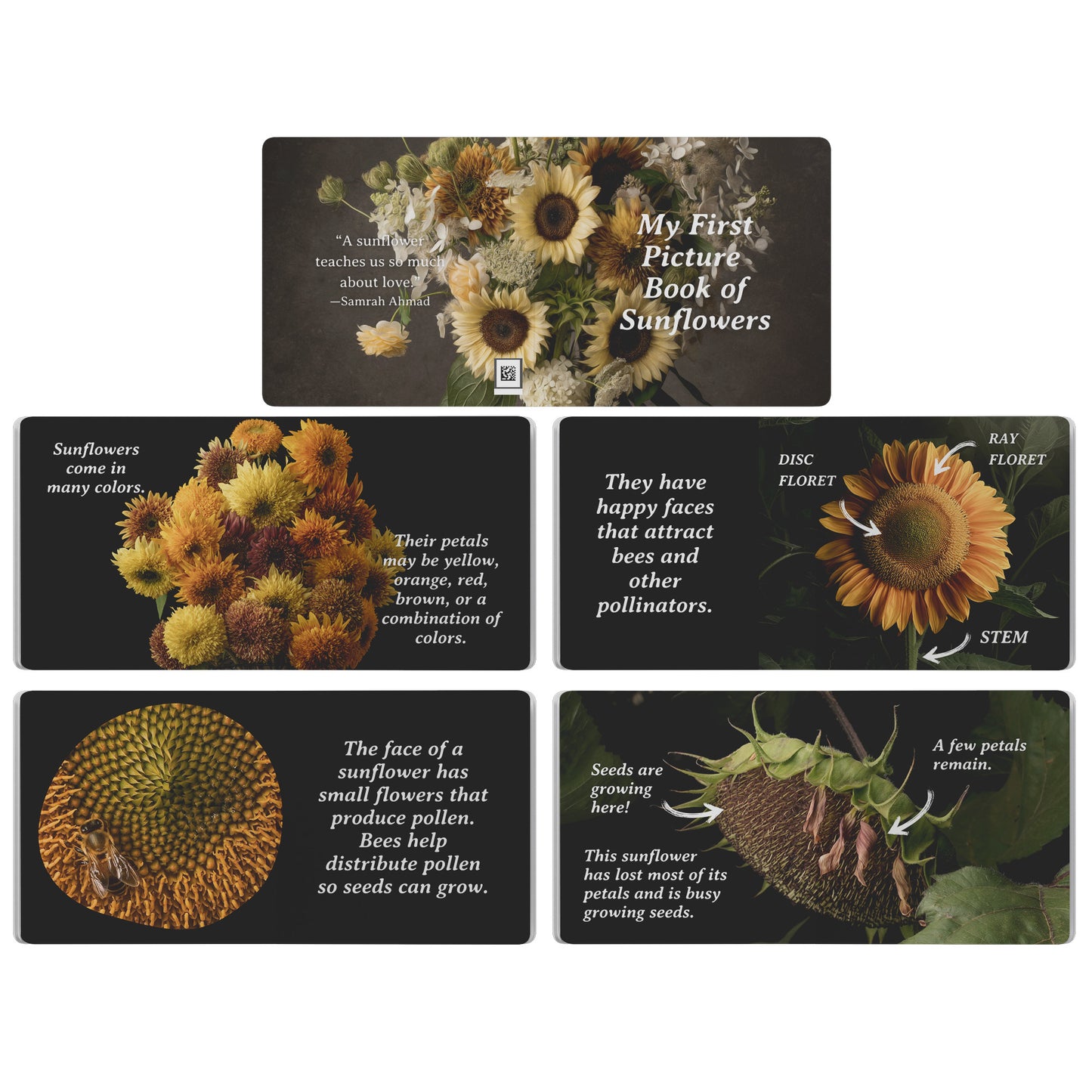 My First Book of Sunflowers, Board Book by Caroline Jensen