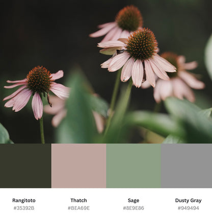 Echinacea in the Garden Printable