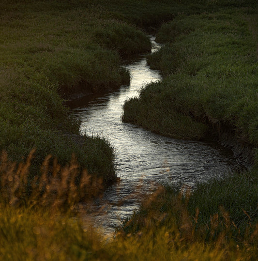 Peaceful Stream (Download)