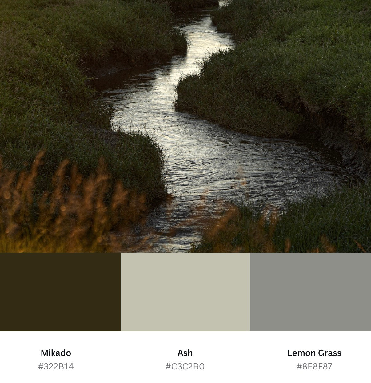Peaceful Stream (Download)