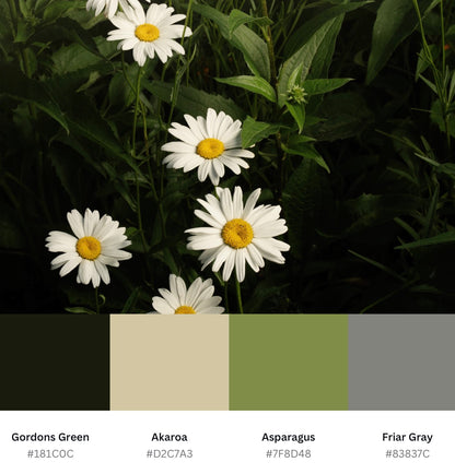 Daisy Cascade (Download)