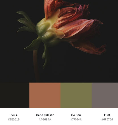 Moody Wilted Dahlia - Download