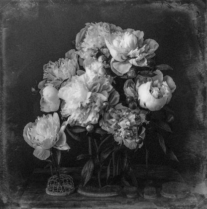 Vintage Peonies in Flower Frogs