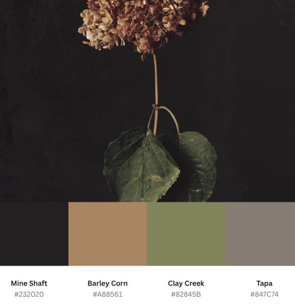 Caught Between Seasons - Download