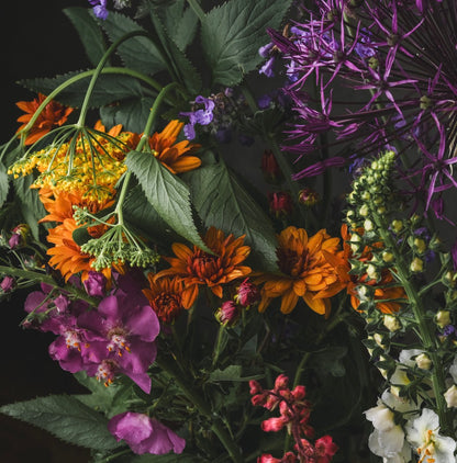 Vibrant Color Floral (Download)