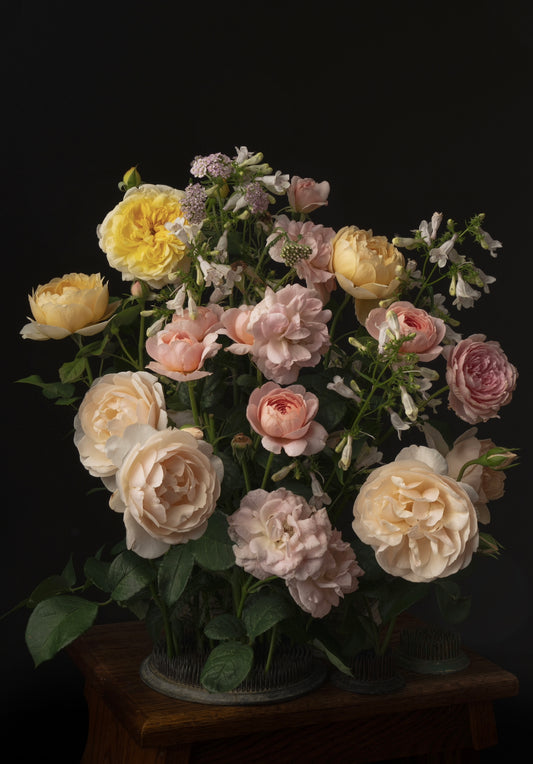 July Rose Arrangement - Download