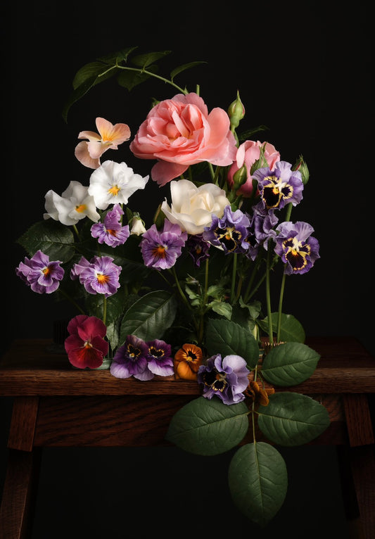 A Garden Diary, March 19th - Download