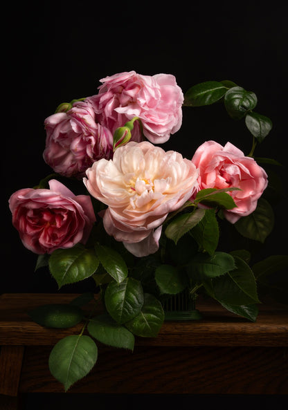 A Garden Diary, March 23rd - Download