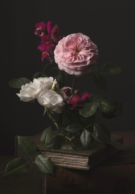 A Garden Diary, April 6th - Download