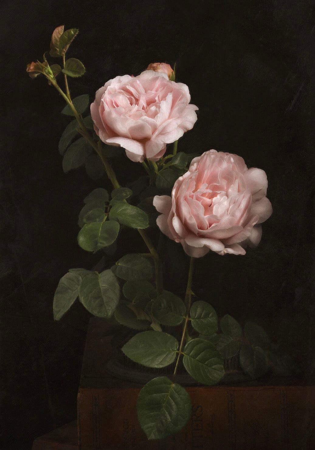 A Garden Diary, March 30th - Download