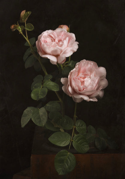 A Garden Diary, March 30th - Download