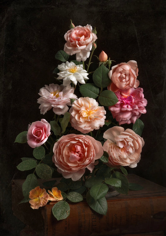 A Garden Diary, March 27th - Download