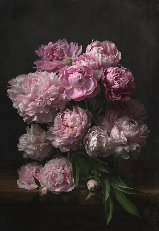 Vintage Peony Arrangement Download